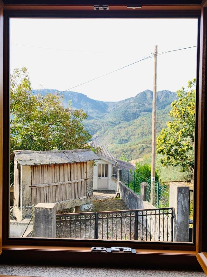 维拉·雷阿尔"Casa Do Avo Armindo" Mountain Experience别墅 外观 照片