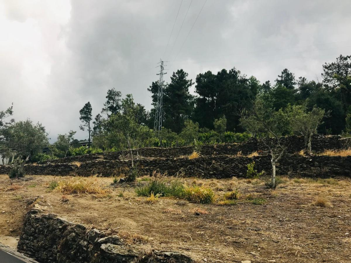 维拉·雷阿尔"Casa Do Avo Armindo" Mountain Experience别墅 外观 照片