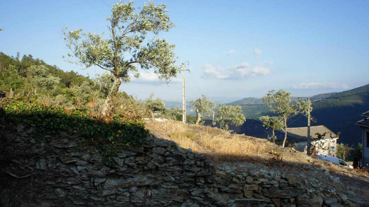 维拉·雷阿尔"Casa Do Avo Armindo" Mountain Experience别墅 外观 照片